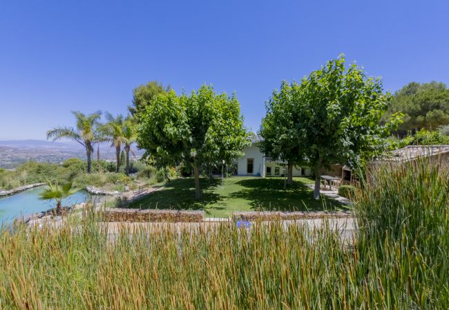 Villa in Alhaurín el Grande - Cubo's Villa El Tejar
