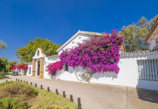 Cottage in Alhaurin de la Torre - Cubo's Finca el Nogal