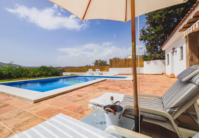 Pool and exterior of the property