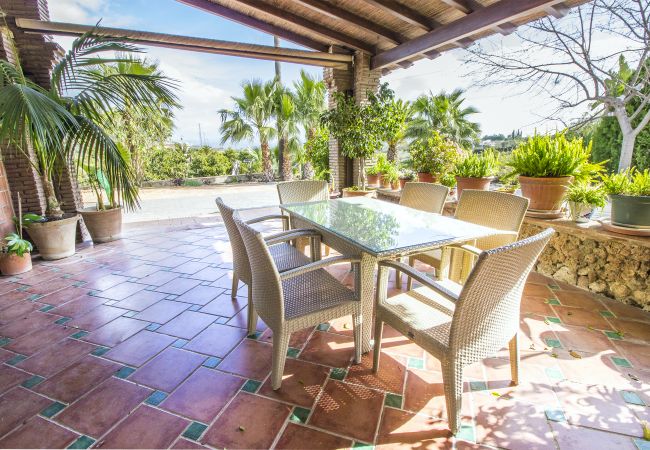 Terrace of this farm in Alhaurín el Grande