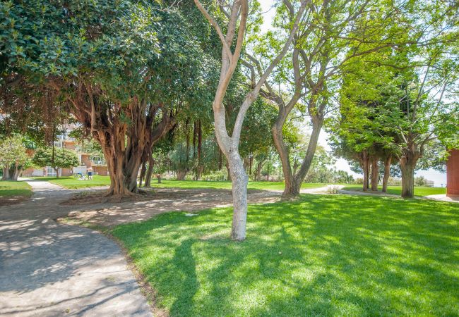 Garden of this apartment in Benalmádena