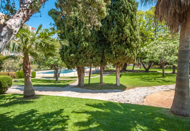 Garden of this apartment in Benalmádena