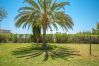 Garden of this apartment in Benalmádena