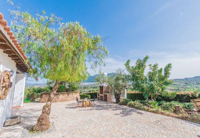 Barbecue of this villa in Alhaurín el Grande