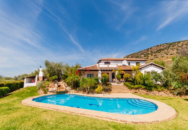 Private pool of this villa in Alhaurín el Grande