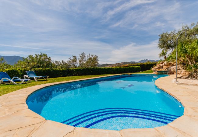 Private pool of this villa in Alhaurín el Grande