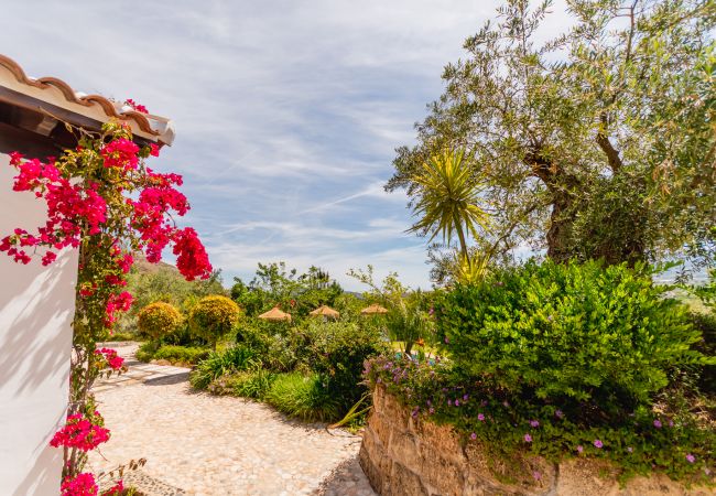 Garden of this villa in Alhaurín el Grande