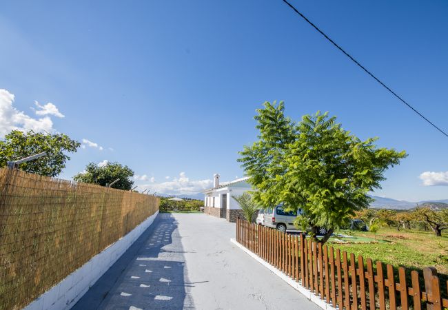 Terrace of this farm in Alhaurín de la Torre