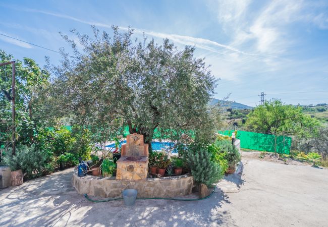 Views of this farm in Alhaurín el Grande