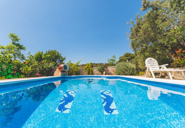 Private pool of this estate in Alhaurín el Grande