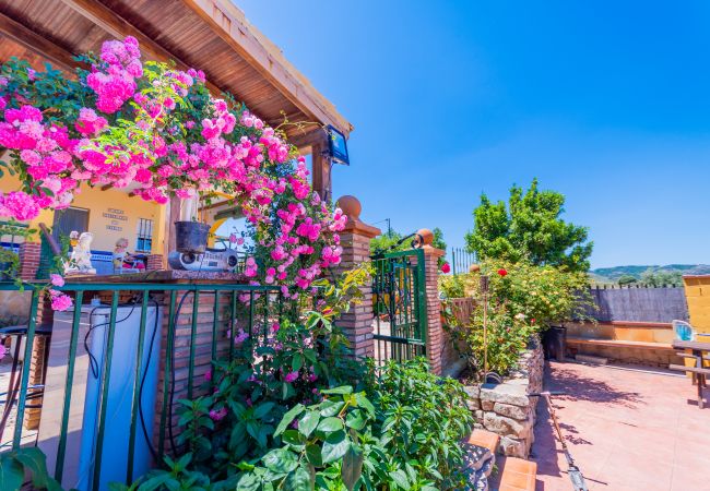 Garden of this villa in Ardales