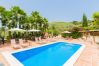 Pool of this rural studio in Mijas Pueblo