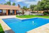 Private pool of this villa in Alhaurín el Grande