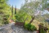 Garden of this rural house in Guaro