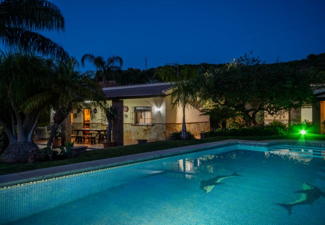 Private pool of this Finca in Alhaurín el Grande