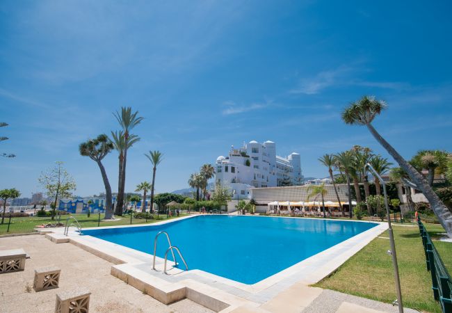 Community pool of this studio in Torremolinos