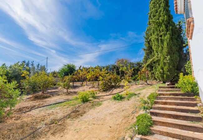 Garden of this villa in Coín
