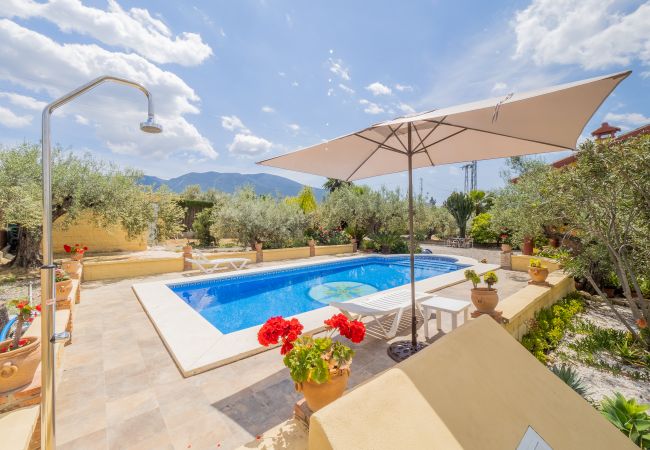 Outdoor pool of this Rural House in Alhaurín