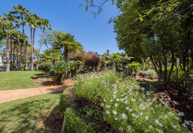 Garden of this apartment in Los Naranjos (Marbella)