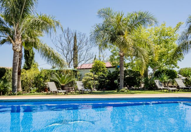 Garden of this rural house in Alhaurín el Grande