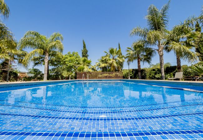 Pool of this rural house in Alhaurín el Grande