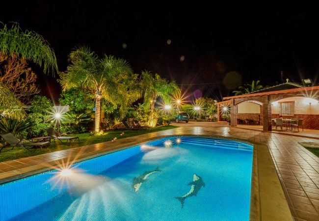 Private pool of this rural house in Alhaurín el Grande