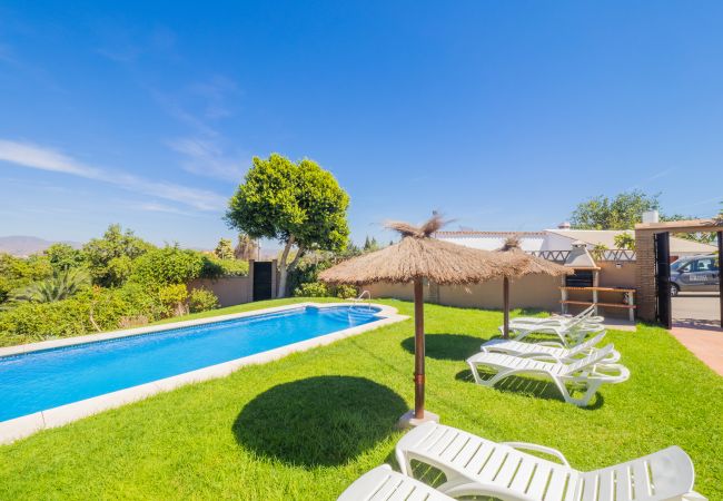 Villa in Alhaurin de la Torre - Cubo's Villa Plumaria de Alhaurin