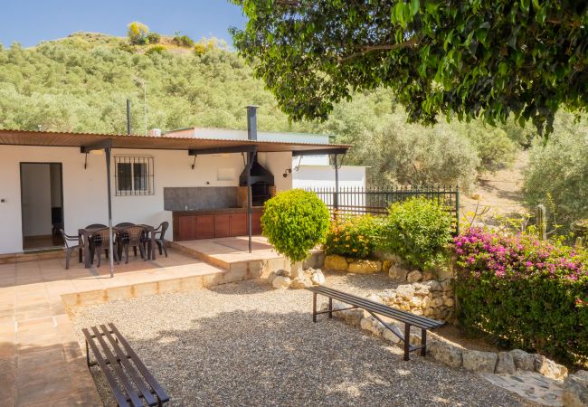 exterior, garden, fenced plot