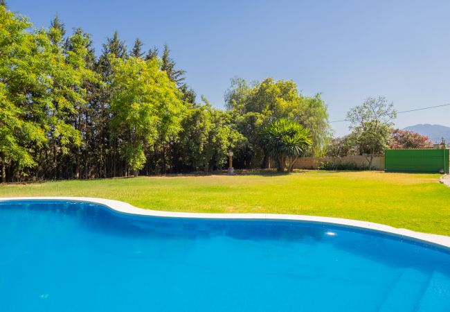 Villa in Alhaurín el Grande - Cubo's Villa Garden