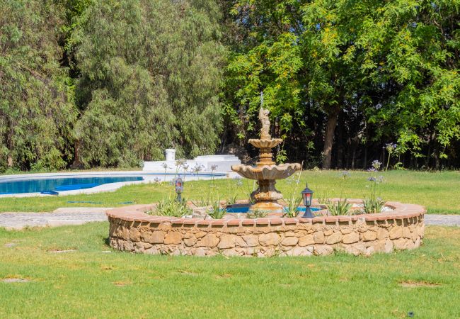 Villa in Alhaurín el Grande - Cubo's Villa Garden