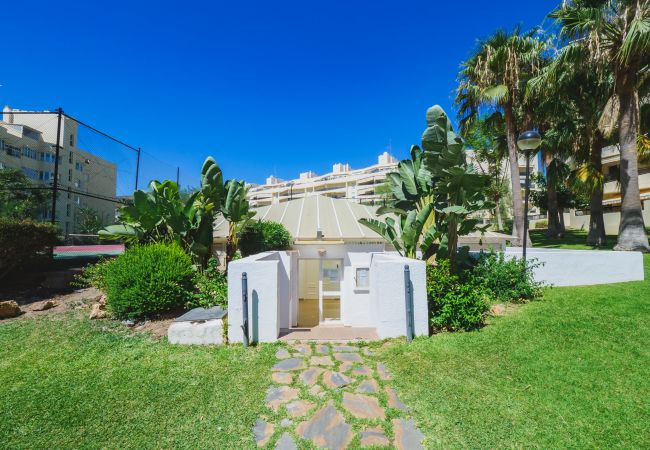 Apartment in Torremolinos - Cubo's Urban Brigitte Torremolinos & Parking