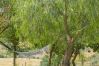 Cottage in Archidona  - Cubo's Cortijo El Perezon