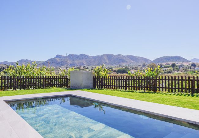 Views from the pool of the accommodation in Cártama, Málaga.