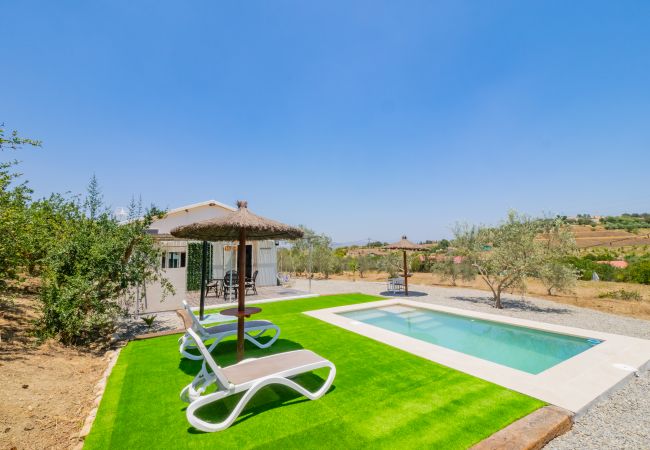 Cottage in Alhaurín el Grande - Cubo's Greenlife Loft Total Privacy Pool