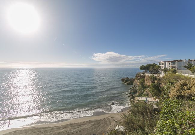 Apartment in Nerja - Acapulco 307