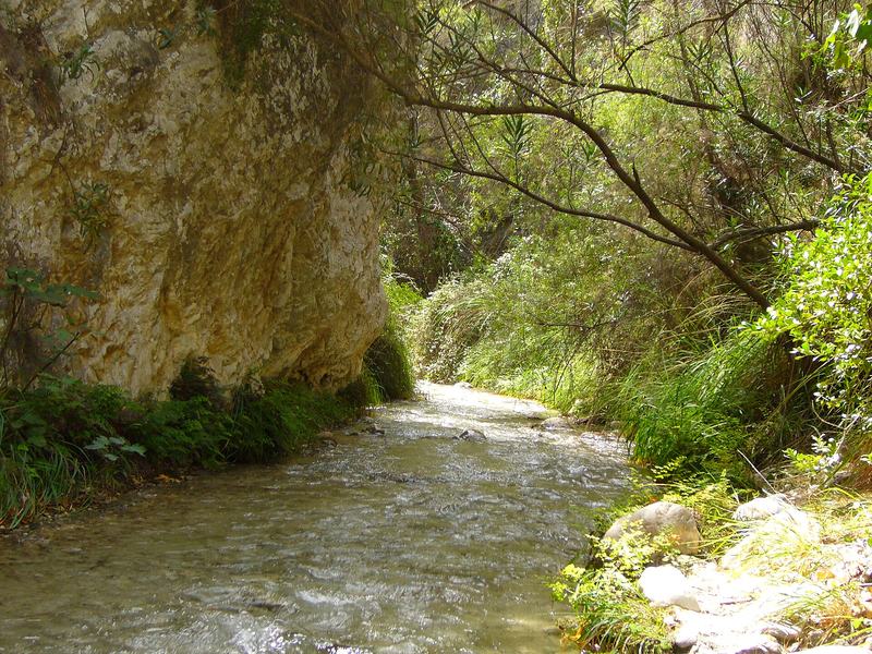 Der Fluss Chíllar zwischen Felswänden und Pflanzen bei Nerja